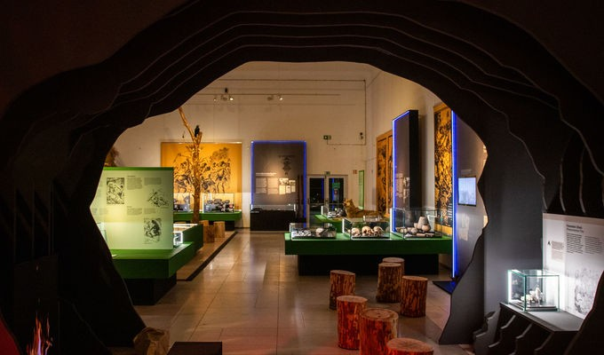 Prehistoric Adventures of Eduard Štorch | National museum-Prague