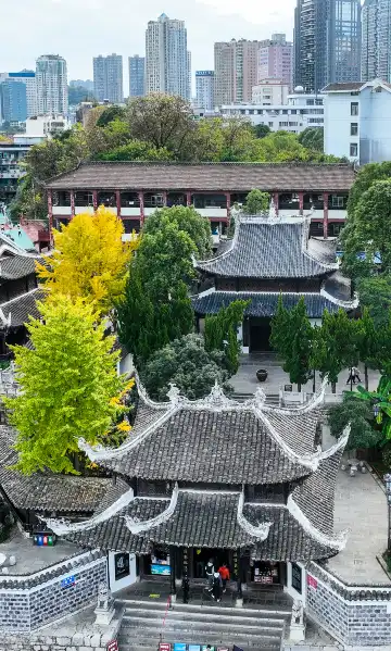 鄰近翠微園的酒店