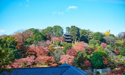 Giardino Chinzan-sō