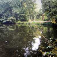 0元景點遊德國--不來梅公園Bürgerpark