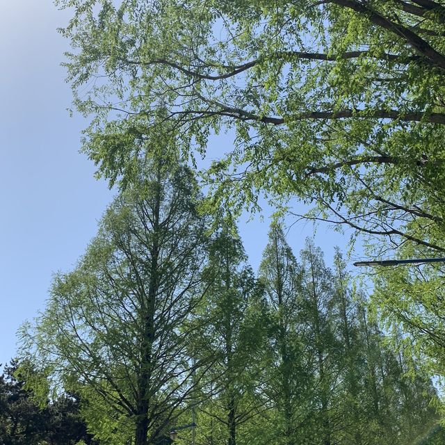 초록빛 창원