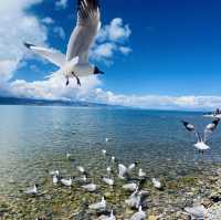 Namtso, the holy lake of Tibet 