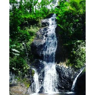 The first allure in Roro Kuning Waterfall is related to the beauty of nature. The site is considered secluded, so it is suitable for lessening or getting rid of stresses. The combination of big trees, bushes on a cliff, and three water discharges indeed astonish all visitors. During the visit, you won’t feel bored for sure. You can also take advantage of this stunning scenery to enjoy photography. Many great objects can be a background for their photos, after all. You only need to explore the site well.

When visiting the waterfall, it is recommended to learn about history too. The local government even built a monument in that area, in order to remember General Sudirman’s struggle during the fight against the Dutch. Aside from the monument, you may find a simple house where Sudirman spent a week for resting in the past. In order to learn further history, you must ask the locals or their guide.
#summervacation#hikingtrails#urbanexplorer