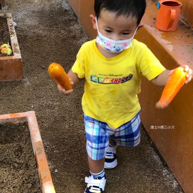 《小農夫後花園種植場》