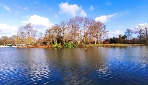 Vincennes Woods