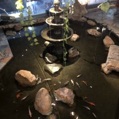 红人码头(花园新城店) User Photo