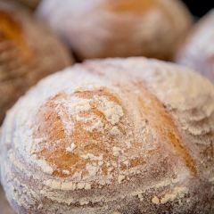 Lake Louise Station Restaurant User Photo
