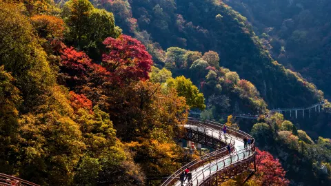Shaohua Mountain National Forest Park attraction in Weinan