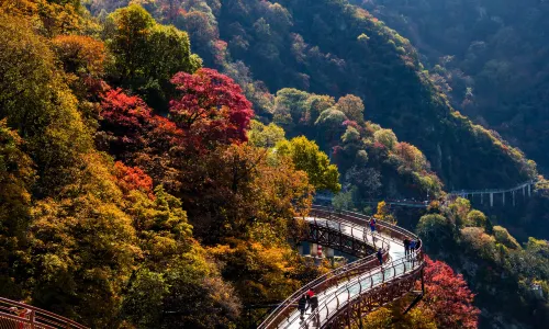 Shaohua Mountain National Forest Park