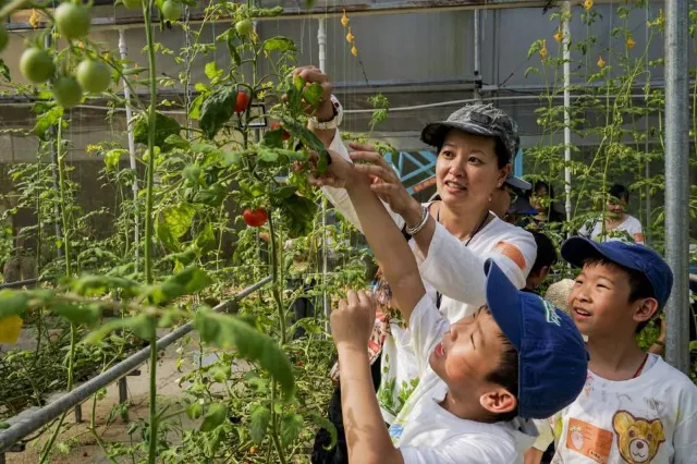 【2024親子農場】10個親子農莊好去處⛺ 士多啤梨園、探草泥馬、豪華露營