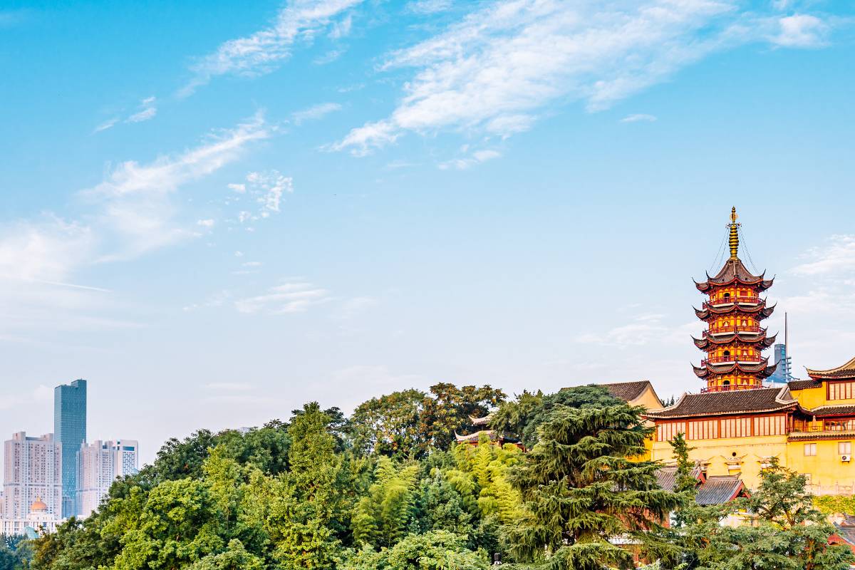 鶏鳴寺で外せない注目スポット3選