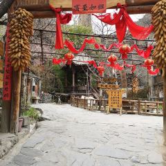 Taopingqiangzhai'ermarenjia User Photo