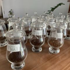 梅子咖啡烘焙工作室 User Photo