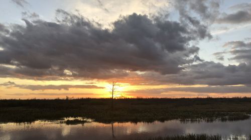 Longfeng Wetland