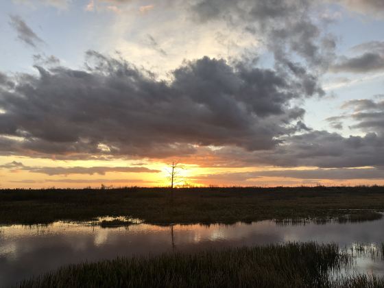 龍鳳濕地