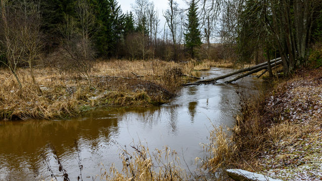 Baimiaozi Shuiku Ecology Wetland Park