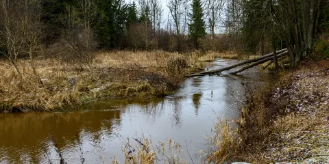 白廟子水庫生態濕地公園