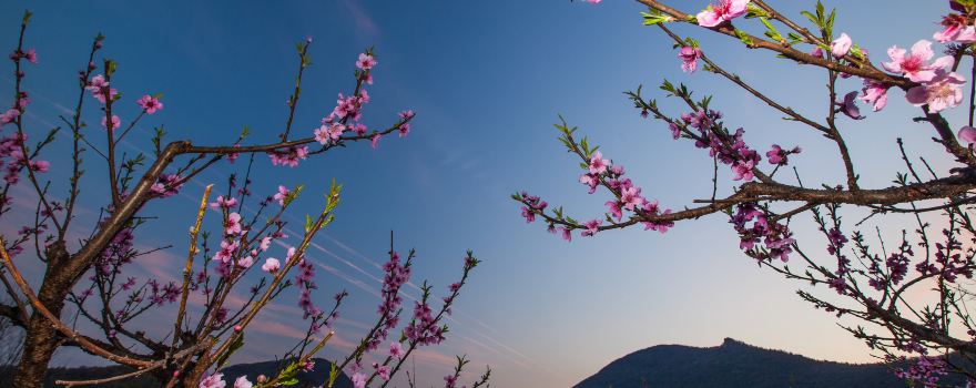 Things to Do in Fenggang Town in 2024 - Top Attractions, Local Food ...