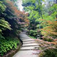 Jin Shengshan Health Theme Park