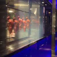 Hakkasan - Dim-sum with a twist