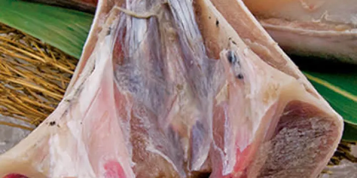 Ibushi Ginjiro Nishihara