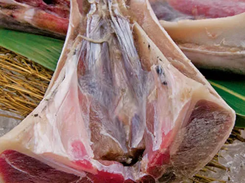 Ibushi Ginjiro Nishihara