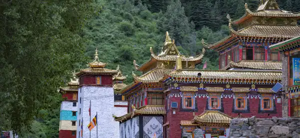 Hotels in Zamthang County