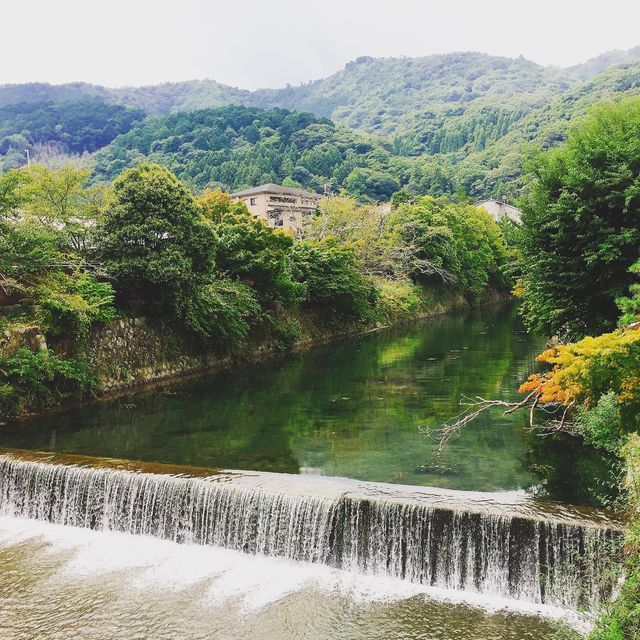 상하이문‘s 아라시야마 대나무숲