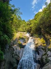 Jinzhu Waterfall Scenic Area