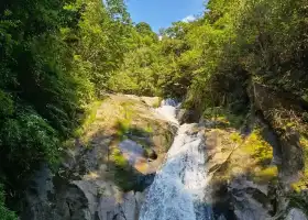 Jinzhu Waterfall Scenic Area