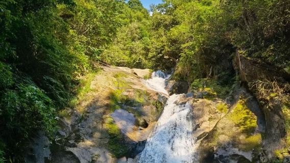Jinzhu Waterfall Scenic Area