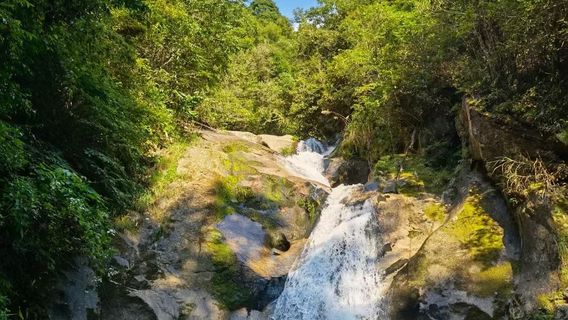 Jinzhu Waterfall Scenic Area