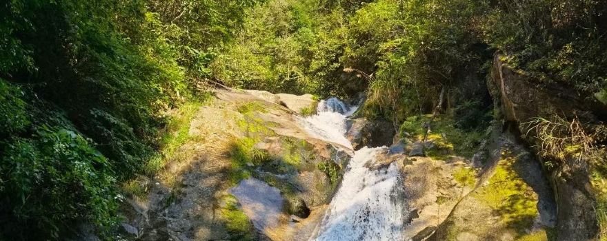 Jinzhu Waterfall Scenic Area