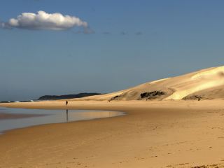 Flights to Port Elizabeth from Cape Town