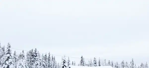 Kiruna