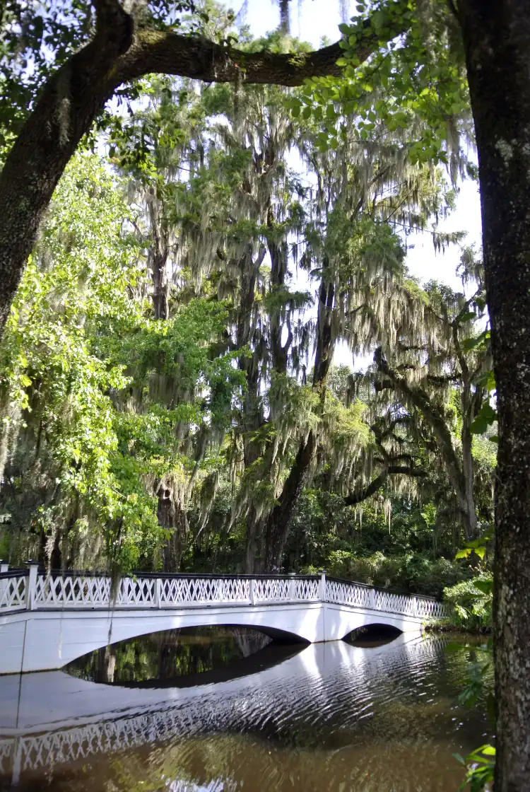 Hotels in Cypress Gardens