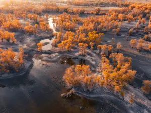 Populus Park