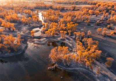 Populus Park