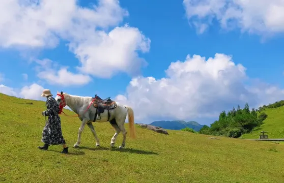 福建福州永泰中國雲頂寨一日遊【含門票、索道+上門接送用車】