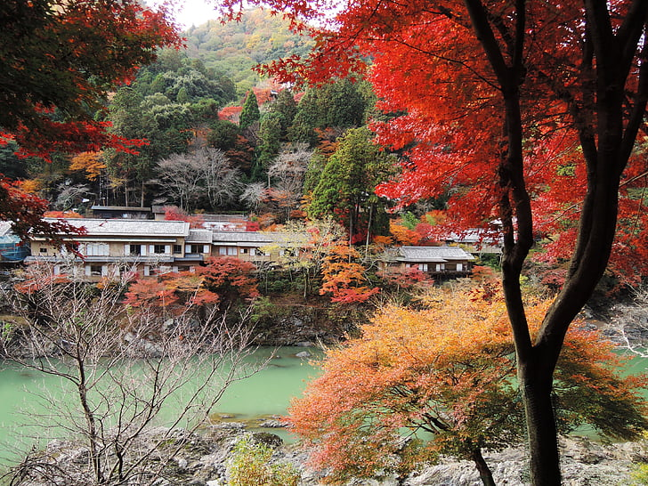 Fall Season Is Coming! คิดถึงญี่ปุ่น วางแพลนเที่ยวฤดูใบไม้เปลี่ยนสีกันเถอะ  🍁