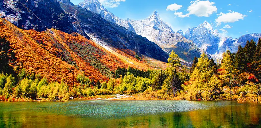 Fall Viewing Attractions