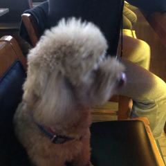酷狗苑宠物店 User Photo