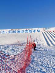 베이징 시위안 공원 얼음과 눈 카니발