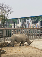 黃金河動物園