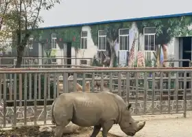 黃金河動物園