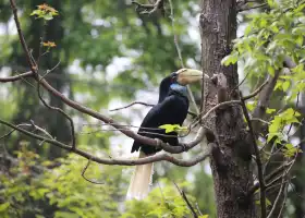 紅山森林動物園