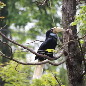 紅山森林動物園