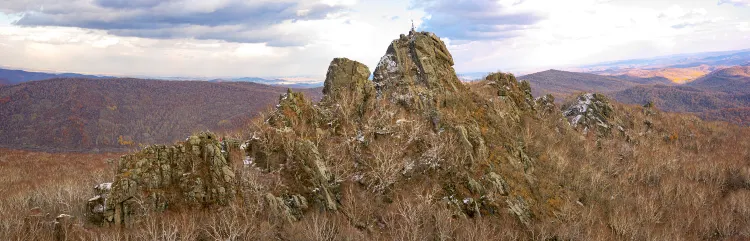 釜山 飛 雞西