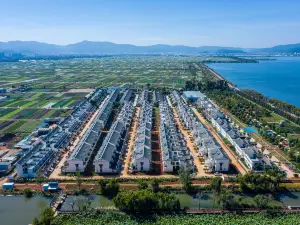 杞麓湖