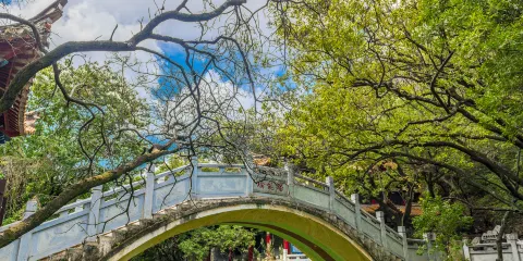 界魚石公園